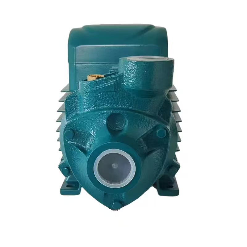 PK80 Vortex Pump