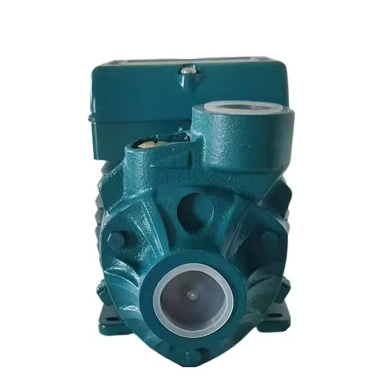 PK60 Vortex Pump